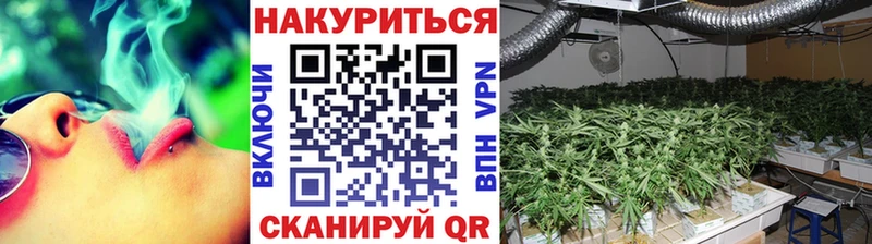 Марихуана семена  Беслан 